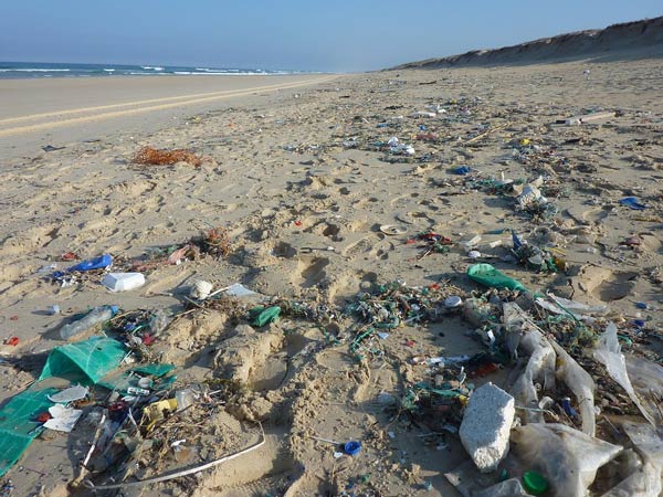 Nettoyage des plages - ACE - Trash'Challenge à l'ACE : Le mois du grand nettoyage