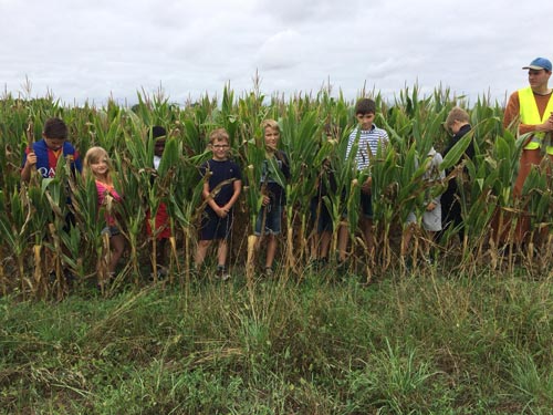 Camp d'été pour enfant ACE 49