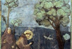 Francois d'Assise prêchant aux oiseaux par Giotto