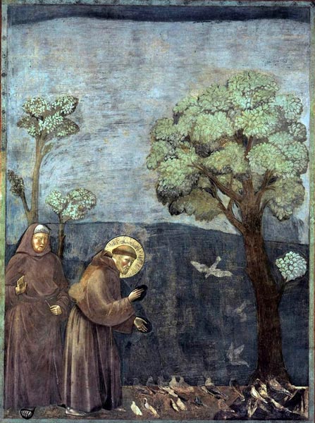 Francois d'Assise prêchant aux oiseaux par Giotto