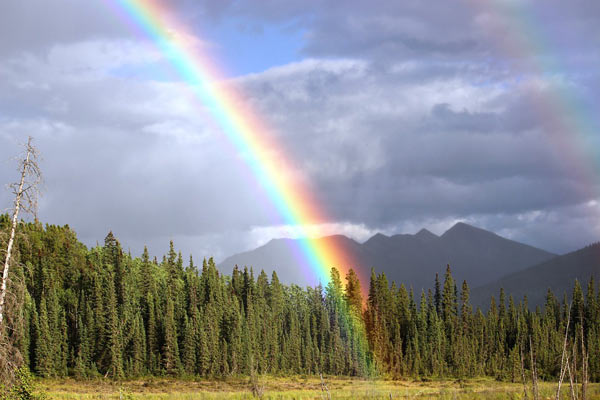 Arc en ciel