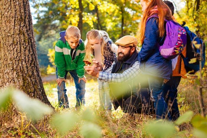 savoir prendre le temps de contempler la nature